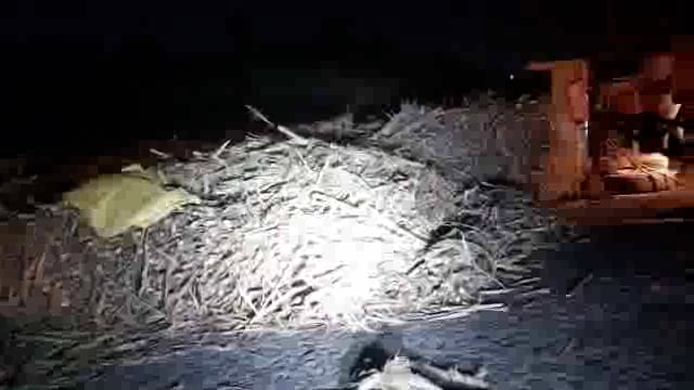 तोंडार पाटी जवळील वळणावर उसाचा ट्रॅक्टर उलटला,आठवड्यातील ही दुसरी घटना