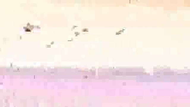 चांदन प्रखंड क्षेत्र में हर्षोल्लास पूर्वक उदयमान सूर्य को अर्घ देकर किया समापन 