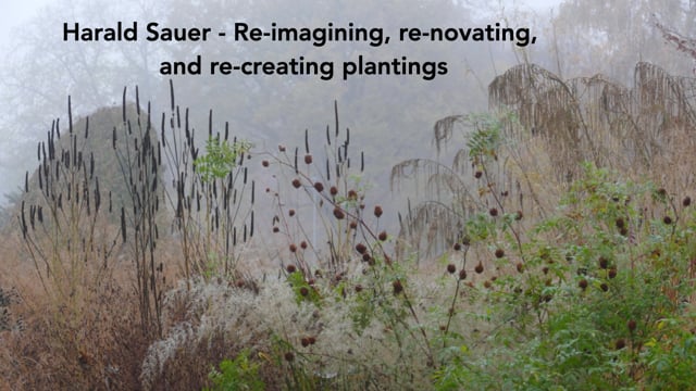 Harald Sauer – Re-imagining, re-novating, and re-creating plantings