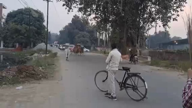 रामचंद्र मिशन थाना के निकट सड़क पर छुट्टा पशुओं का तांडव, जाम हो गया रास्ता