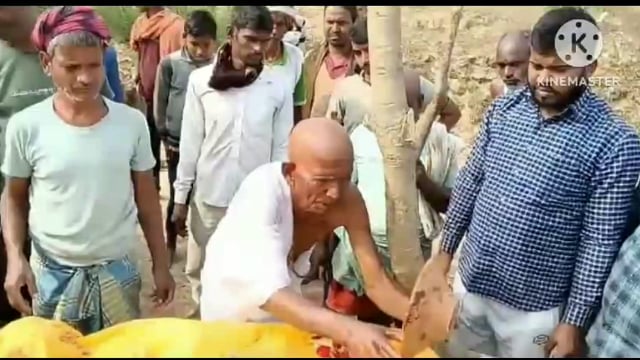 फतेहपुर- पंचायत समिति सदस्य नौडीहा झुरांग के दादी का देहावसान