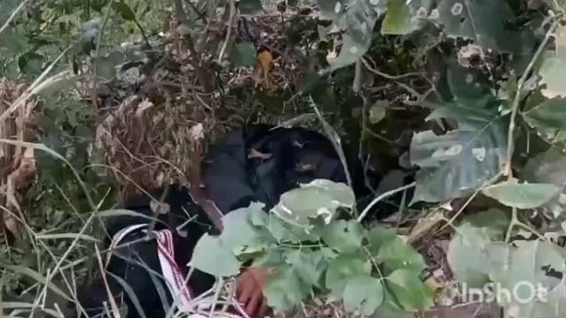 मथुरा के गोवर्धन मार्ग पर अधिक राजवाह के समीप हत्या कर झाड़ियां में फेंक युवक का सब मौके पर पहुंची पुलिस