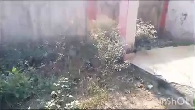 उप स्वास्थ्य केंद्र आए दिन रहता हैं बंद केंद्र पर लगा गंदगी का अंबार, 