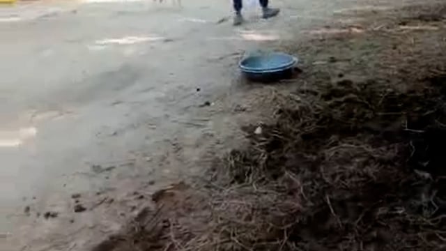 जमीनी विवाद में भगदड़, लेखपाल व पुलिस पर पथराव का आरोप