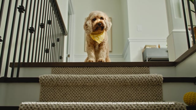 Change your Confidence video 2