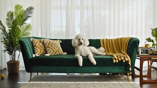 Change your Confidence video 1