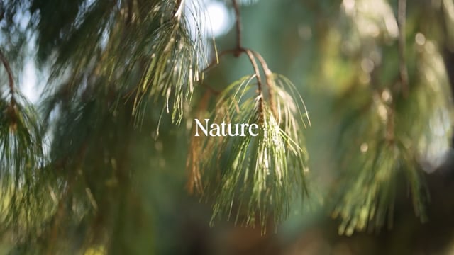 Botanical Lucidity - Nature — Brand Story, Product Demos | Filmhaus