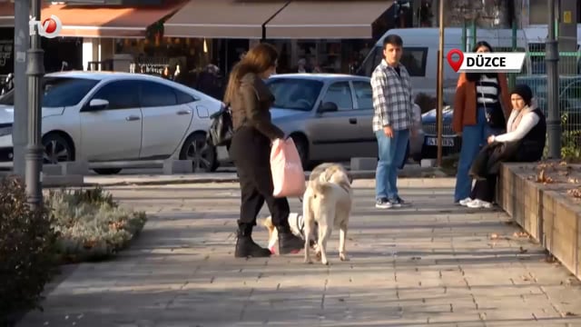 Hediye Gelen Mamaları Sokak Hayvanlarına Dağıttı