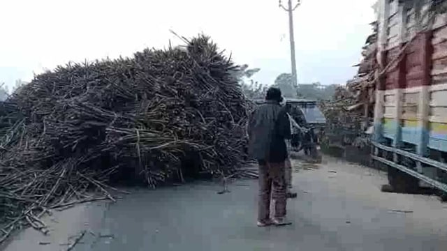 थाना मदनापुर के क्षेत्र गांव नारायनपुर पट्टी कर्मू की पुलिया के पास गन्ने से भरा ट्राला पलटा बड़ा हादसा होने से टला