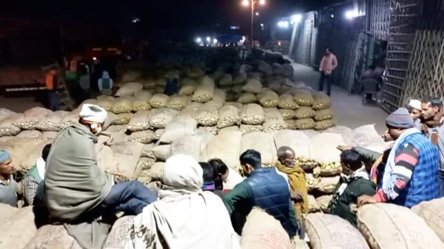 शाहजहांपुर जलालाबाद क्षेत्र में आलू की खुदाई हुई शुरू किसान परेशान,नहीं मिल रहा मंडी में आलू के सही दाम 