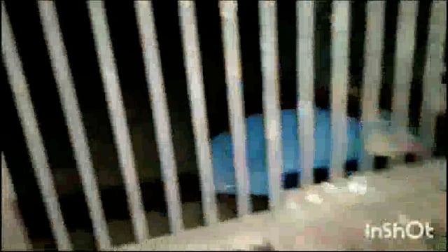 आगरा खैरागढ़ केवल कमाना खाना और सोना ही जीवन नहीं है कुछ समय गौ सेवा देश धर्म समाज और संस्कृति के लिए भी निकालिए