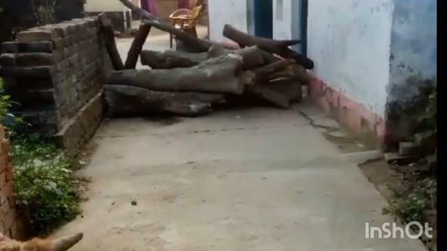 आपसी रंजिश के कारण दबंगों ने आम रास्ते को लकड़ी रखकर रास्ता किया बंद प्रशासन को दी खुली चुनौती