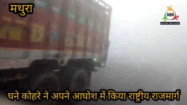 साल 2024 के पहले महीने में पडे घने कोहरे ने हाईवे पर थामी वाहनों की रफ़्तार, कछुए की चाल में रैंग रैंग कर चलते दिखे वाहन