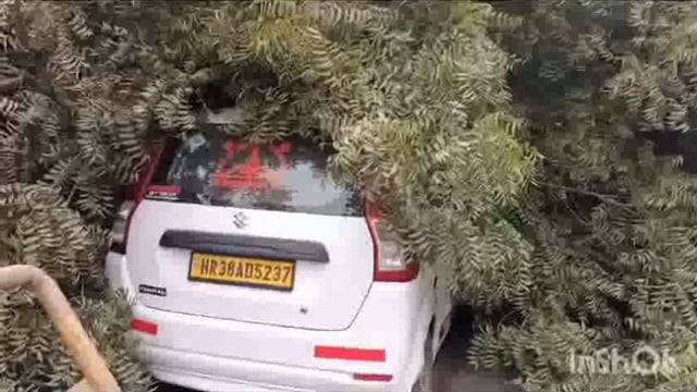 वृंदावन में प्रेम मंदिर के समीप पेड़ धराशाई दो श्रद्धालुओं की गाड़ी दबी व मुश्किल कार से बाहर निकाला श्रद्धालुओं को