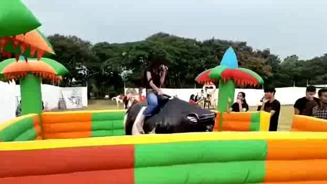 मन्दार महोत्सव सह राजकीय बौसी मेला २०२४ में पहली बार यूवाओ और यूवतियो की पहली पसंद फाइटर बुल डांस आ रहा है !! इस बार यूव