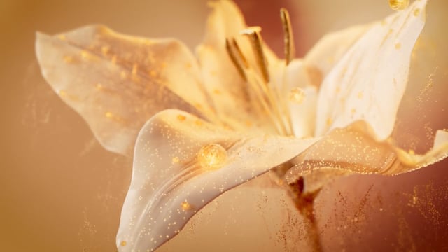 TrueBotanicals | 3D promo video