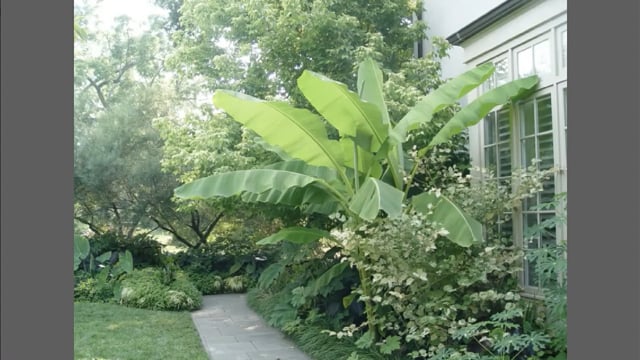 Dan Benarcik – Five design principles for seasonal planting at Chanticleer