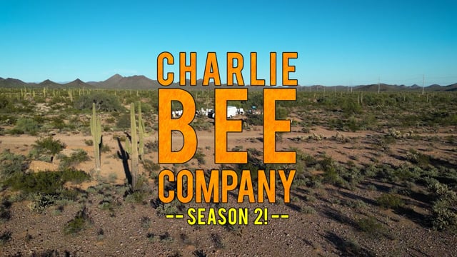 Charlie Bee Company - S2 Promo, PBS 30sec