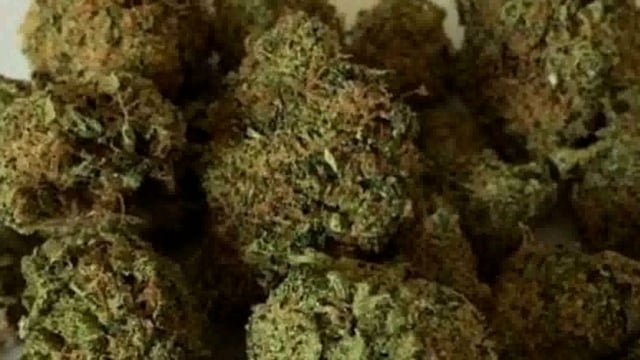 अम्बेडकरनगर
आलापुर थाना क्षेत्र के रामनगर महुवर गांव में भारी मात्रा में अवैध गांजा बरामद,आलापुर पुलिस नें एक आरोपी को हिरासत में लिया,दो अन्य आरोपी फरार।✍️