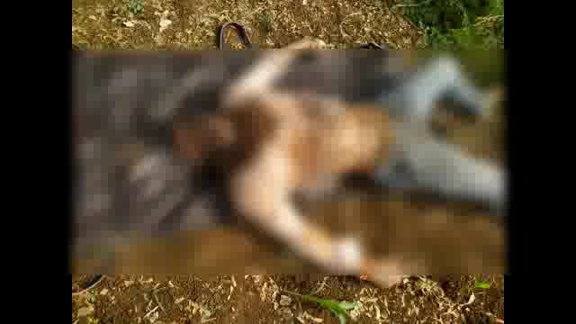 कुमठा येथे 14 वर्षीय शाळकरी मुलांचा दगडाने ठेचून खून