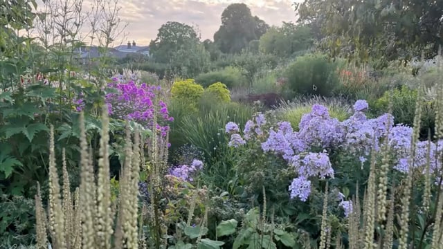 Tom Stuart-Smith – Perennials that perform