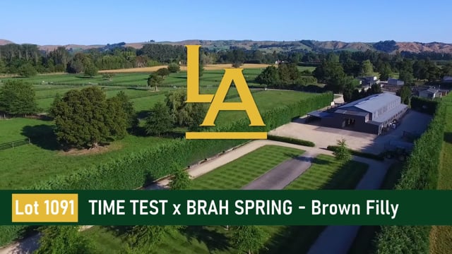 Brah Spring - Time Test