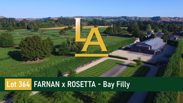 Rosetta - Farnan