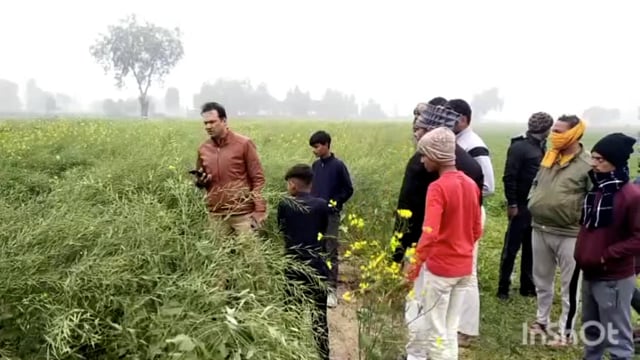 सुरीर क्षेत्र में गोकशी करने वाले बदमाशों की पुलिस से हुई मुठभेड़ दो गोली लगने से घायल तीन गिरफ्तार