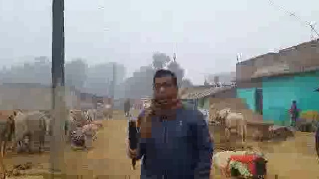 गोड्डा जिला के बोहा पंचायत में ठंड से ठिठुरते लोग,अलाव की व्यवस्था नहीं 