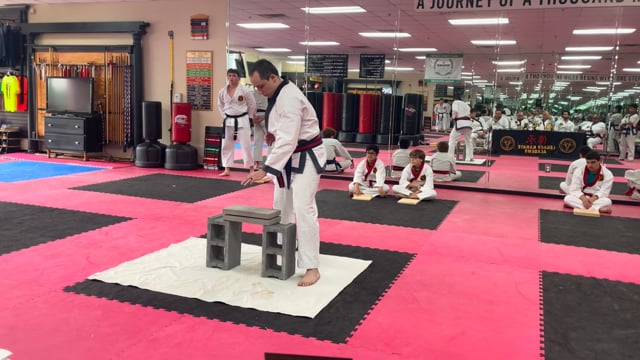 Hand Strikes