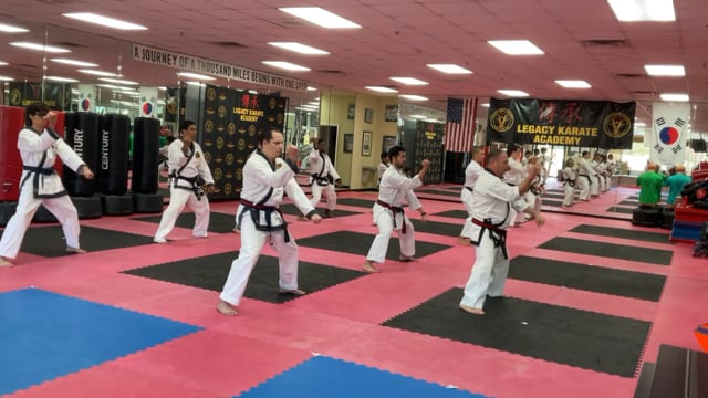 One-Step Sparring