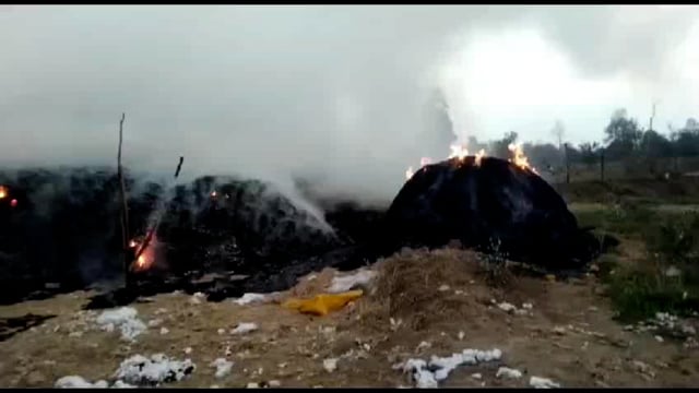 कापसाच्या गंजिंना लागली आग; 20 लाखांचा झाला मोठा नुकसान..!