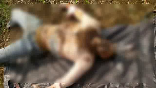 कुमठा खुर्द येथील खुनातील आरोपीला तीन दिवसांची पोलीस कोठडी,मोबाईल चोरल्याच्या कारणावरून खून केल्याची आरोपिकडून कबुली