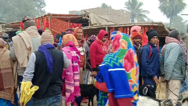 बांका जिले के तांत्रिक शक्ति सिद्ध पीठ तेलडीहा दुर्गा मंदिर में कड़ी सुरक्षा के बीच हजारों पाठे की दी गई बली