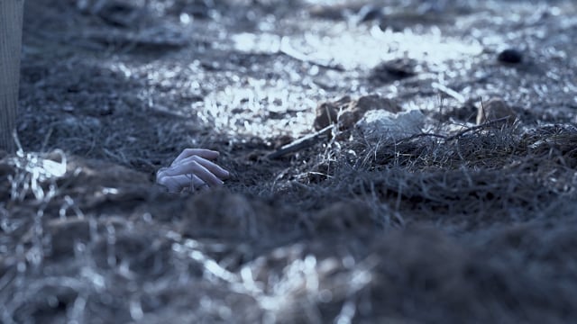 Trailer of the Return Short Film By Bahman Radan