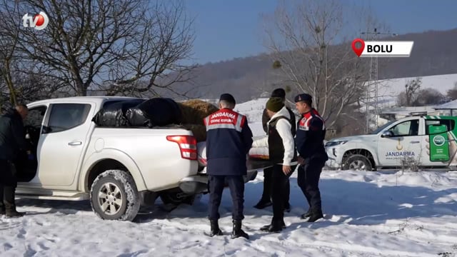 Yılkı Atları İçin Ekipler Devrede