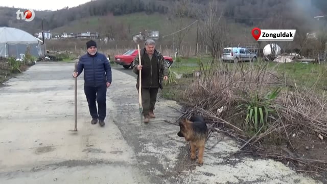 Toprak Altında Yetişen Yer Elmasının Hasadı Başladı