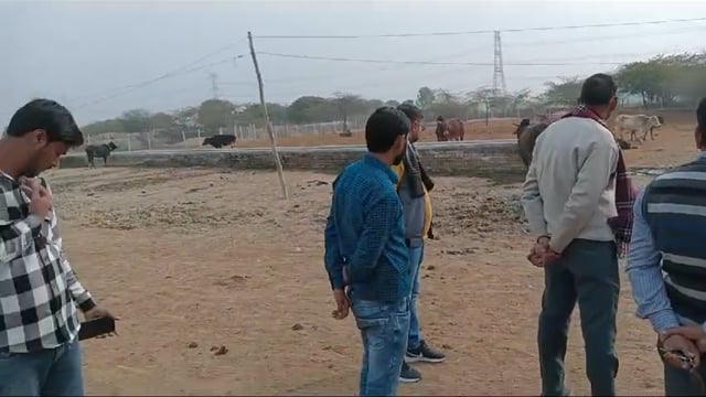 प्रतापगढ़ जिले के मुख्य विकास अधिकारी ने बिहार ब्लॉक की ग्राम सभा कोर्रही में किया गौशाला का निरीक्षण,