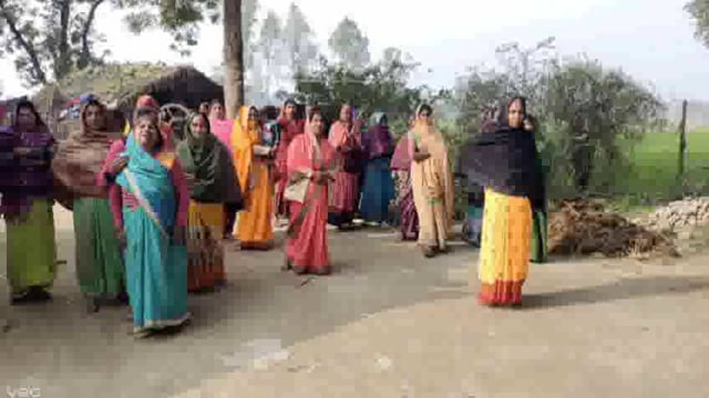 गोंडा:लकड़ी तोड़ने के लिए पेड़ पर चढ़े युवक की गिरकर हुई मौत