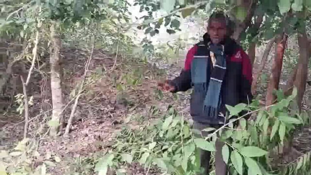 पेड़ काटने से मना करने पर मां बेटी को मारपीट कर बुरी तरह किया जख्मी, ढाई माह के दूध मुहे बच्चे भी मारपीट में हुए घायल