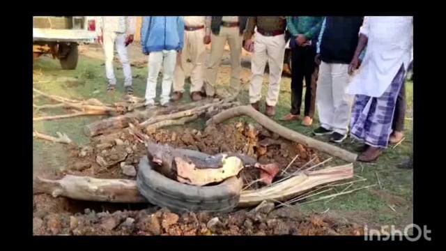 साहिबगंज गंगा नदी के किनारे मृत पाई गई डॉल्फिन के शव को पोस्टमार्टम कर किया गया अंतिम संस्कार ।