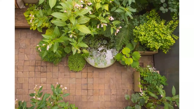 Carolien Barkman – Small Gardens with a Twist