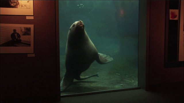 THE AQUARIUM (excerpt)