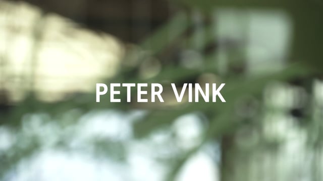 Peter Vink — de Biesboschhal, site-specific light installation