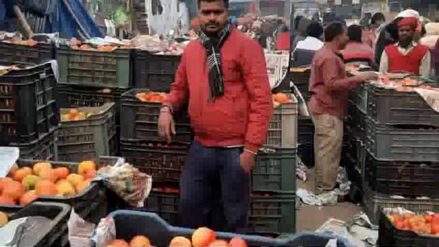 लाल टमाटर बना बिजनेस का जरीया बीए पास भी करते हें टमाटर खेती 