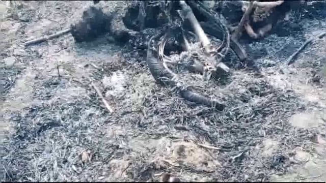 मथुरा के नोहझील थाना क्षेत्र के निवासी एक युवक की बाइक सहित जलाकर की हत्या पुलिस ने शव पोस्टमार्टम को भेजा