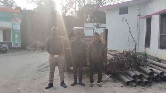 बलरामपुर गैंड़ास बुजुर्ग पुलिस ने आठ बोटा शीशम की लकड़ी के साथ अभियुक्त को किया गिरफ्तार जाने क्या हैं मामला।