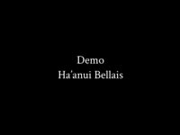 Demo