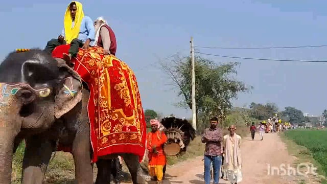 सोंधी ग्राम में शिवलिंग के प्राण प्रतिष्ठा को लेकर 251 कुमारी कन्याओं की निकाली गई कलश यात्रा।