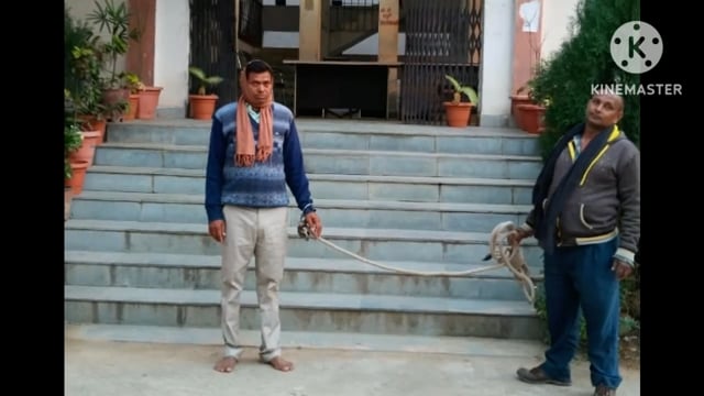 पुलिस ने विभिन्न मामले में दो आरोपी को गिरफ्तार कर भेजा न्यायालय